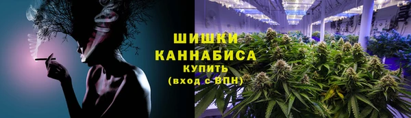 крисы Бугульма